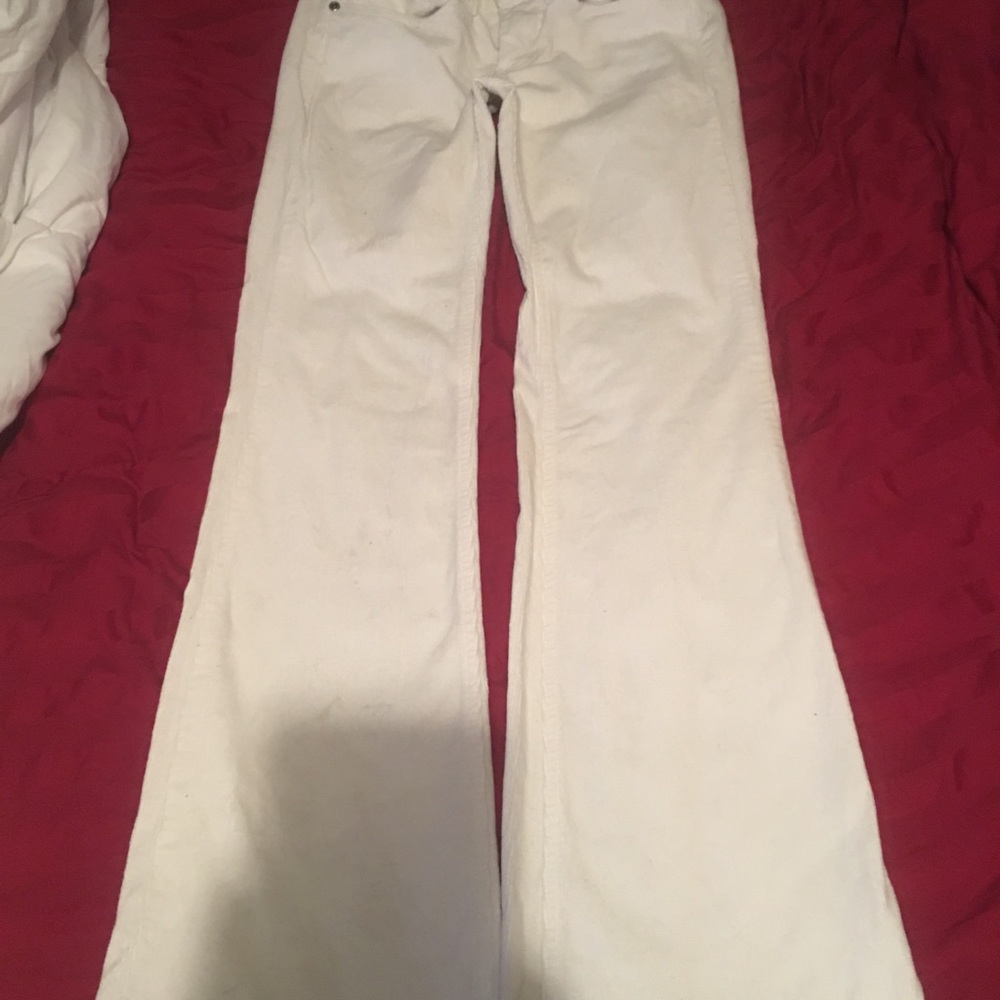 YMI Womens pants